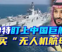 沙特对决：海立方队对阵钮赞，胜者晋级的简单介绍