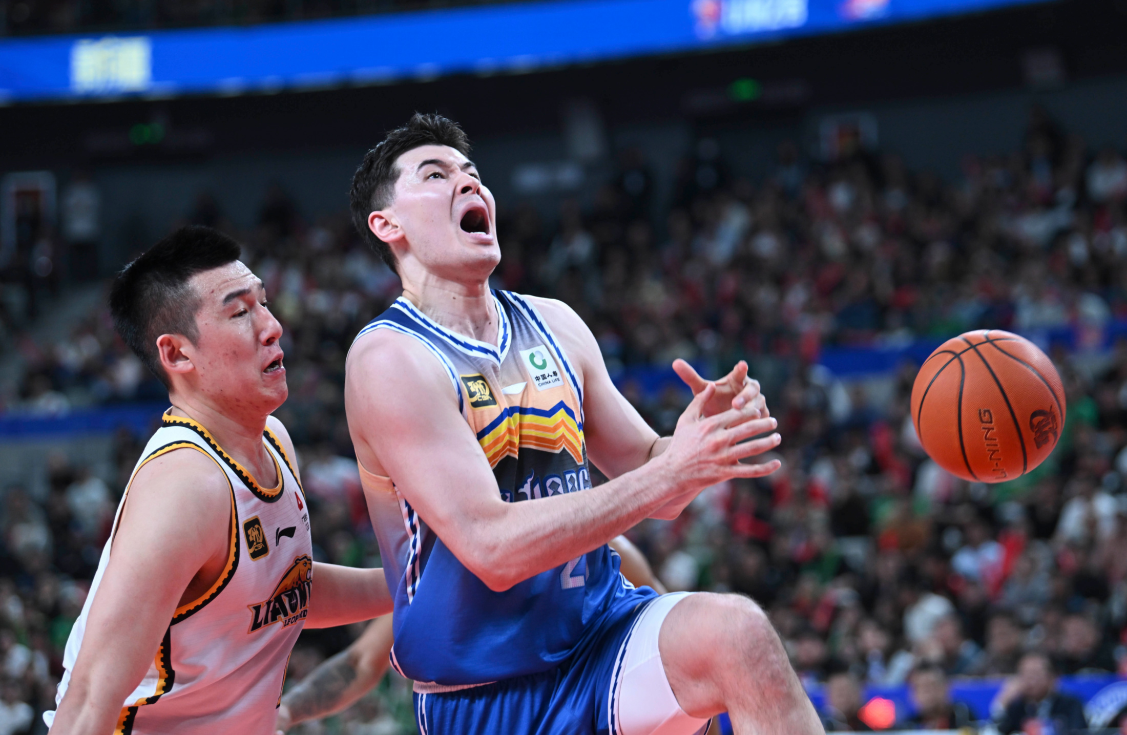 猛龙主场胜鹈鹕，豪取四连胜的简单介绍