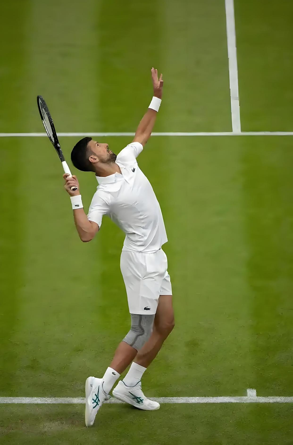 温网力克法网，德约科维奇带队取胜的简单介绍